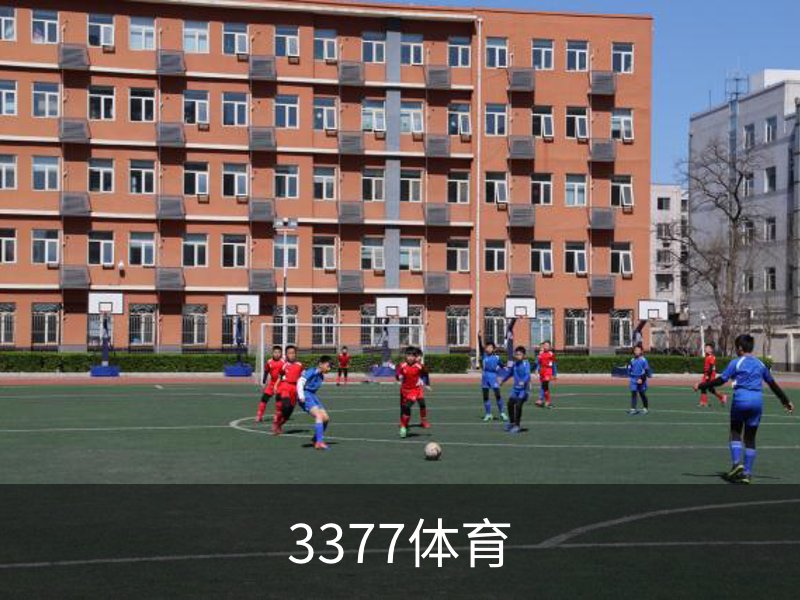 了解3377体育